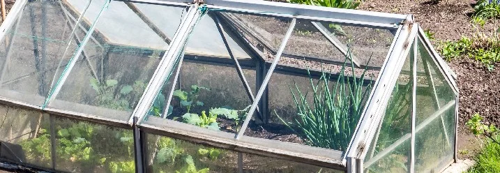 Kleines Gewächshaus mit Setzlingen